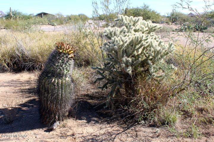 7419 West Agave Ranch Place, Unit 48 Tucson, AZ 85735 - Photo 4 of 6
