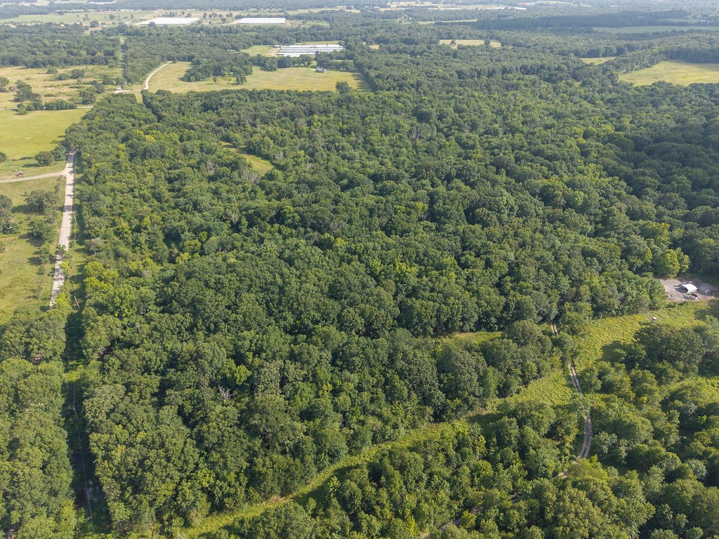 13 North Rhino Road Fort Smith, AR 72908 - Photo 34 of 43 Gallery Image 34