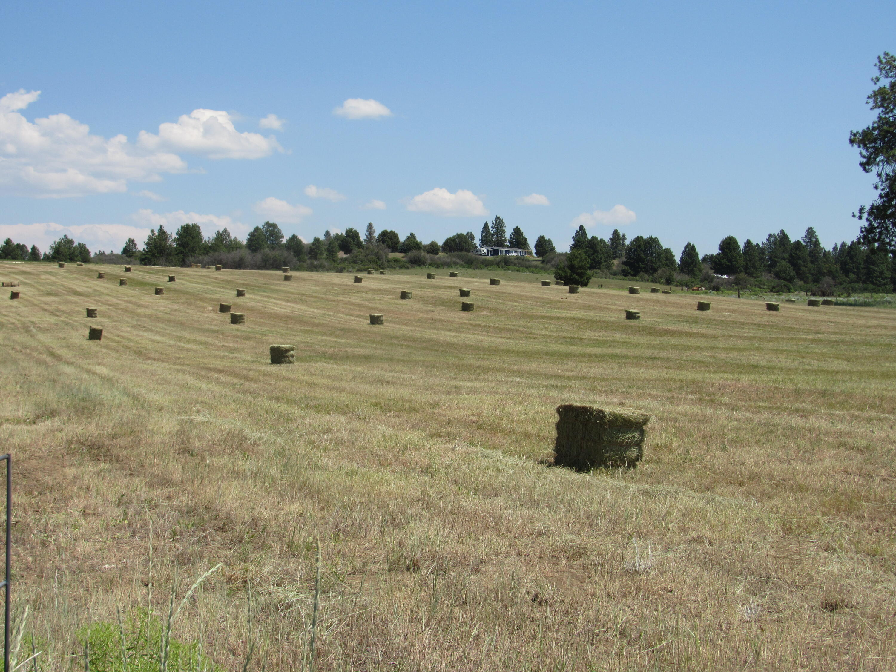 37291 Agency Lake Loop Road Chiloquin, OR 97624 - Photo 10 of 38 IMG_2071