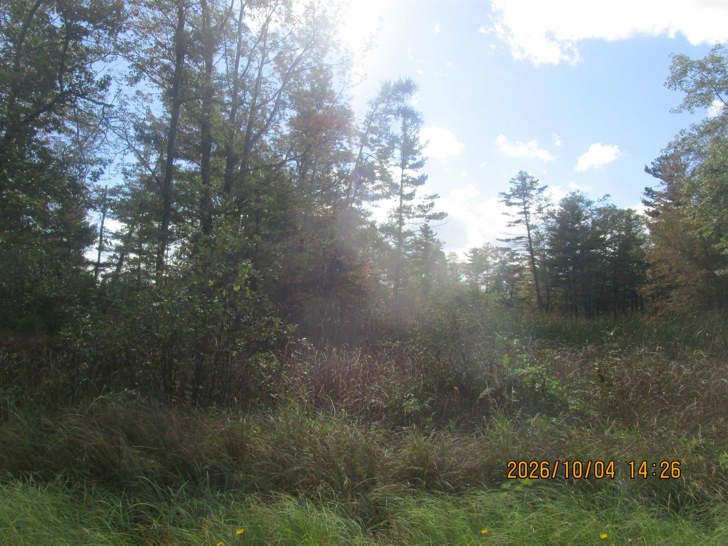 0 Ausable Point Road, Unit 0GOWEN RD Oscoda, MI 48730 - Photo 8 of 11 Gallery Image 8