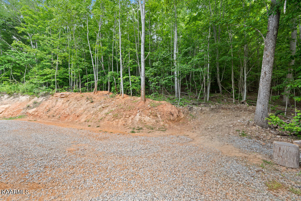 1730 Whistle Valley Road New Tazewell, TN 37825 - Photo 34 of 40 WhstlVlly1730 (99)