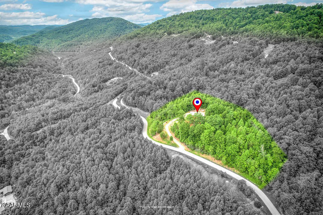 1730 Whistle Valley Road New Tazewell, TN 37825 - Photo 40 of 40 WhstlVlly1730drn (7)-2