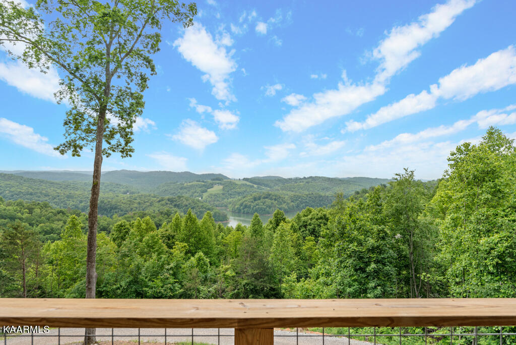 1730 Whistle Valley Road New Tazewell, TN 37825 - Photo 9 of 40 WhstlVlly1730 (61)