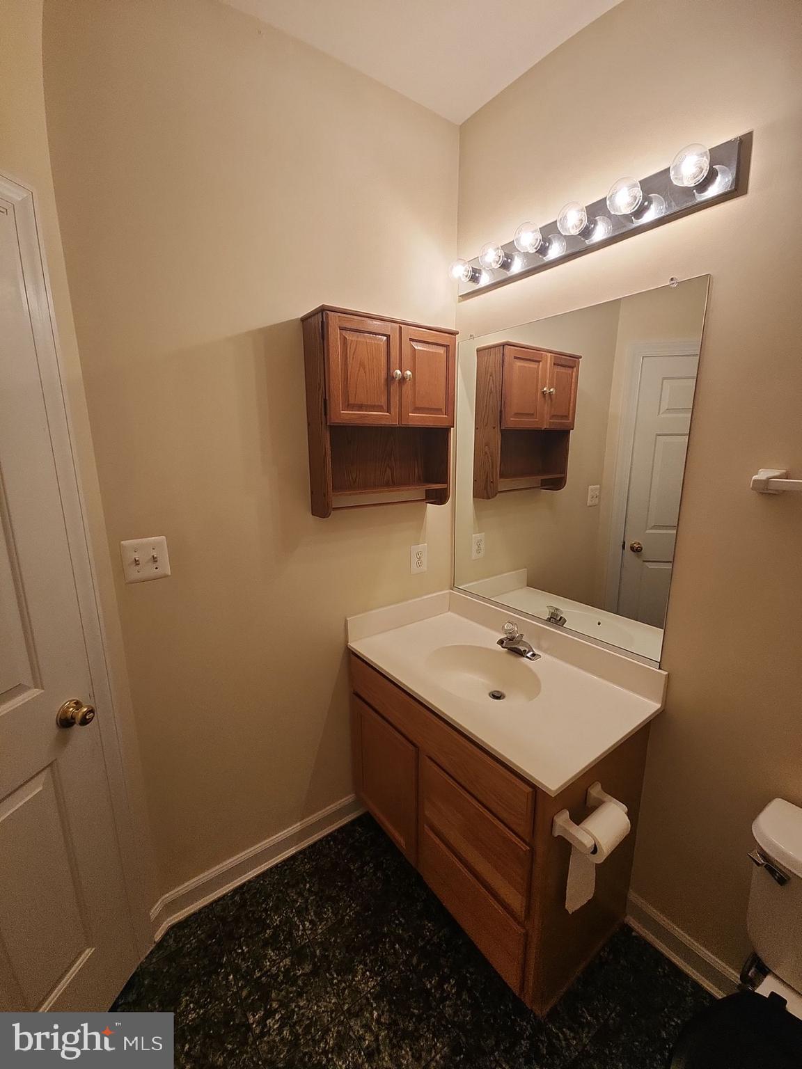 6681 Debra Lu Way Springfield, VA 22150 - Photo 52 of 57 a bathroom with a sink a mirror and toilet