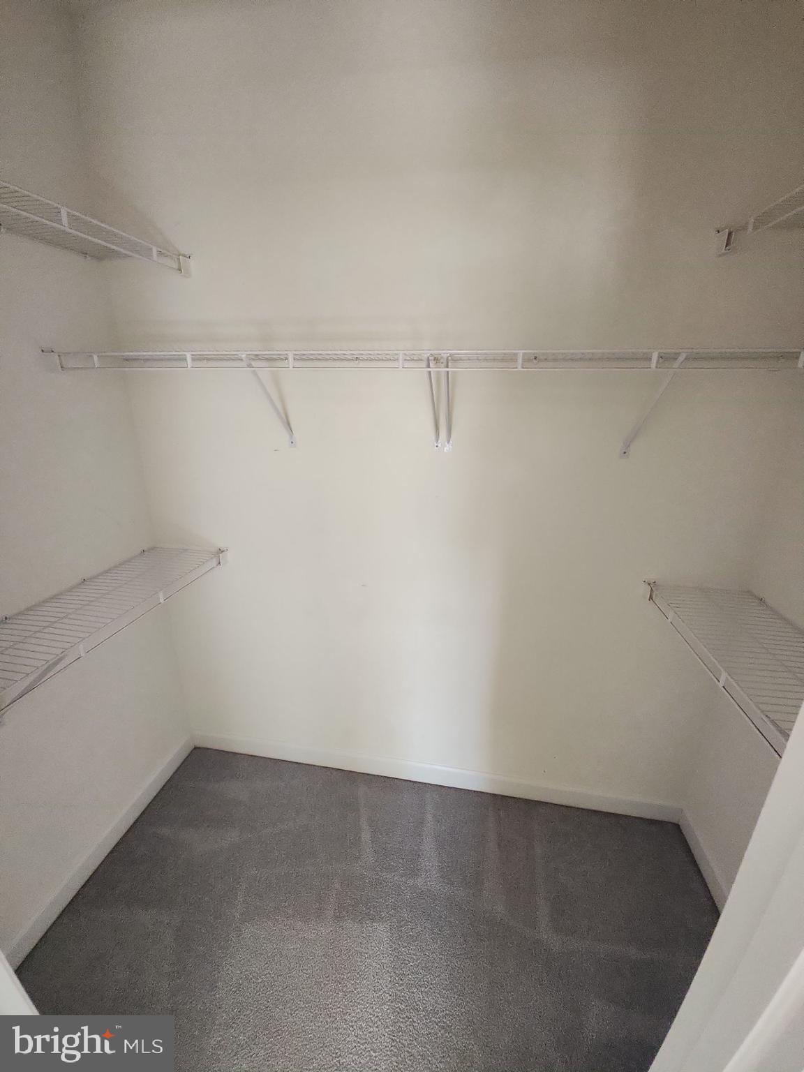 6681 Debra Lu Way Springfield, VA 22150 - Photo 56 of 57 a view of a room with racks on the wall