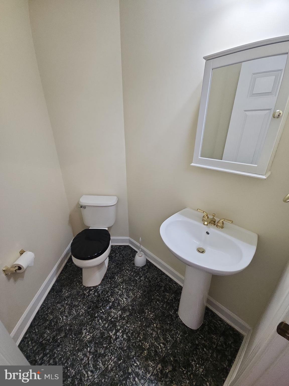 6681 Debra Lu Way Springfield, VA 22150 - Photo 6 of 57 a bathroom with a sink and a toilet
