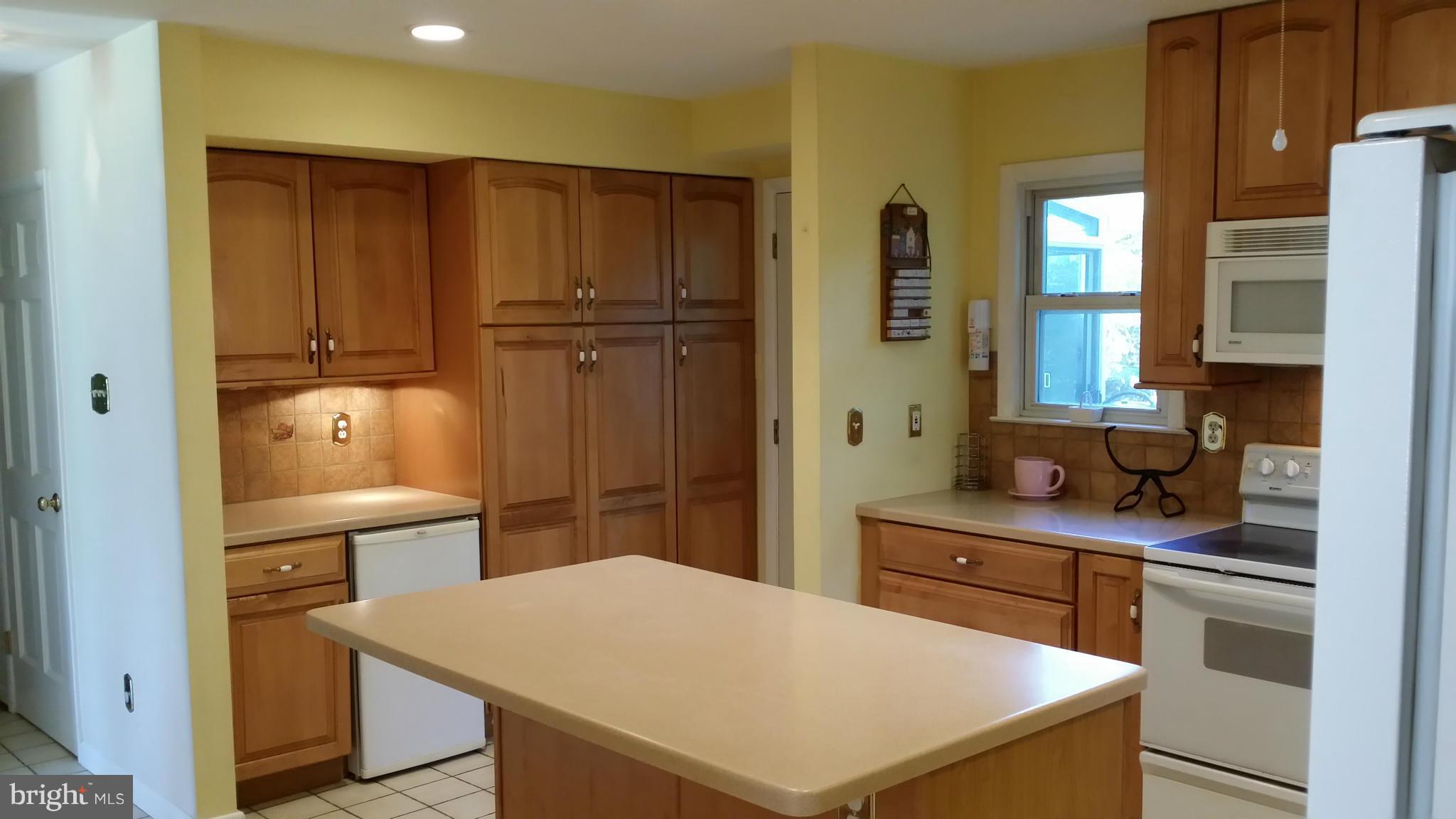 2448 Appleton Road Elkton, MD 21921 - Photo 15 of 29 a kitchen with stainless steel appliances a refrigerator and cabinets