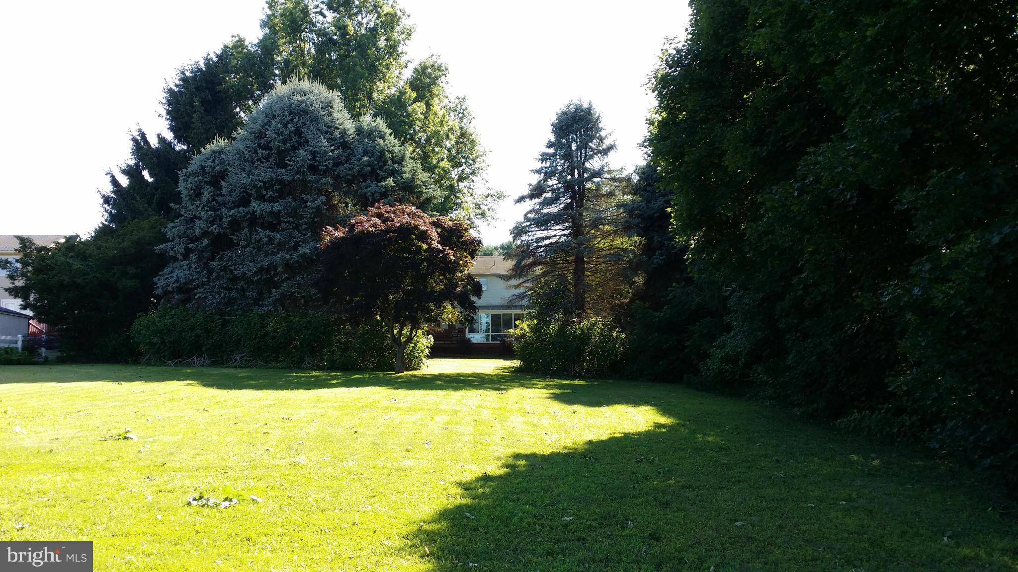 2448 Appleton Road Elkton, MD 21921 - Photo 6 of 29 a view of yard with swimming pool and green space