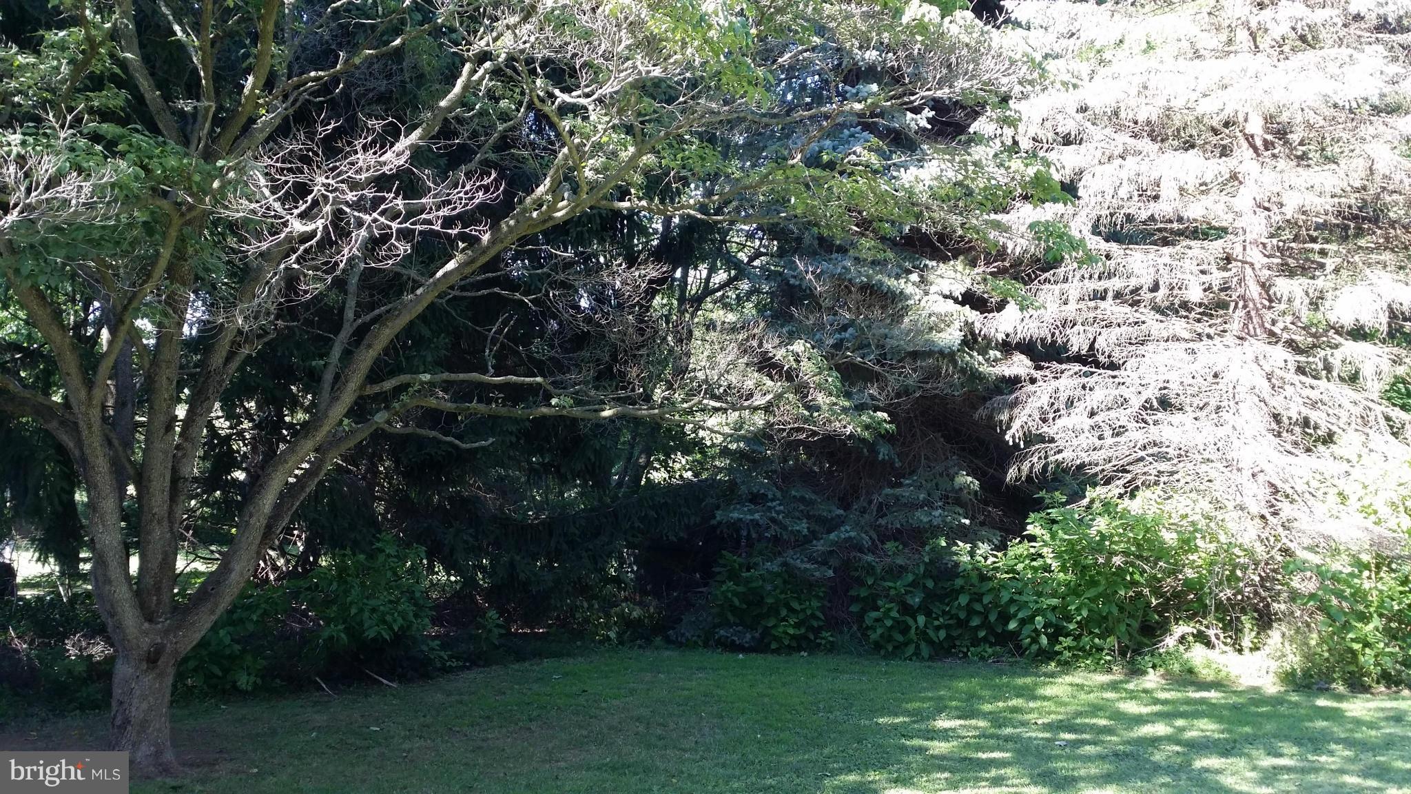 2448 Appleton Road Elkton, MD 21921 - Photo 7 of 29 a view of a tree with a yard