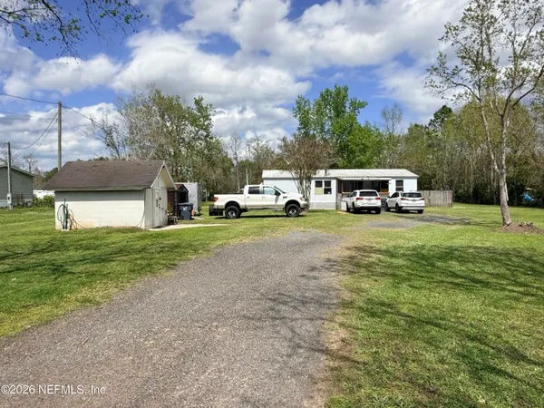 a tall tree in middle of green field