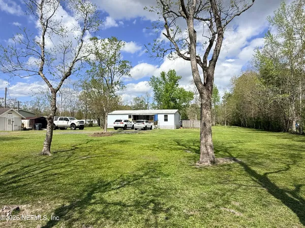 a view of a park with large tree