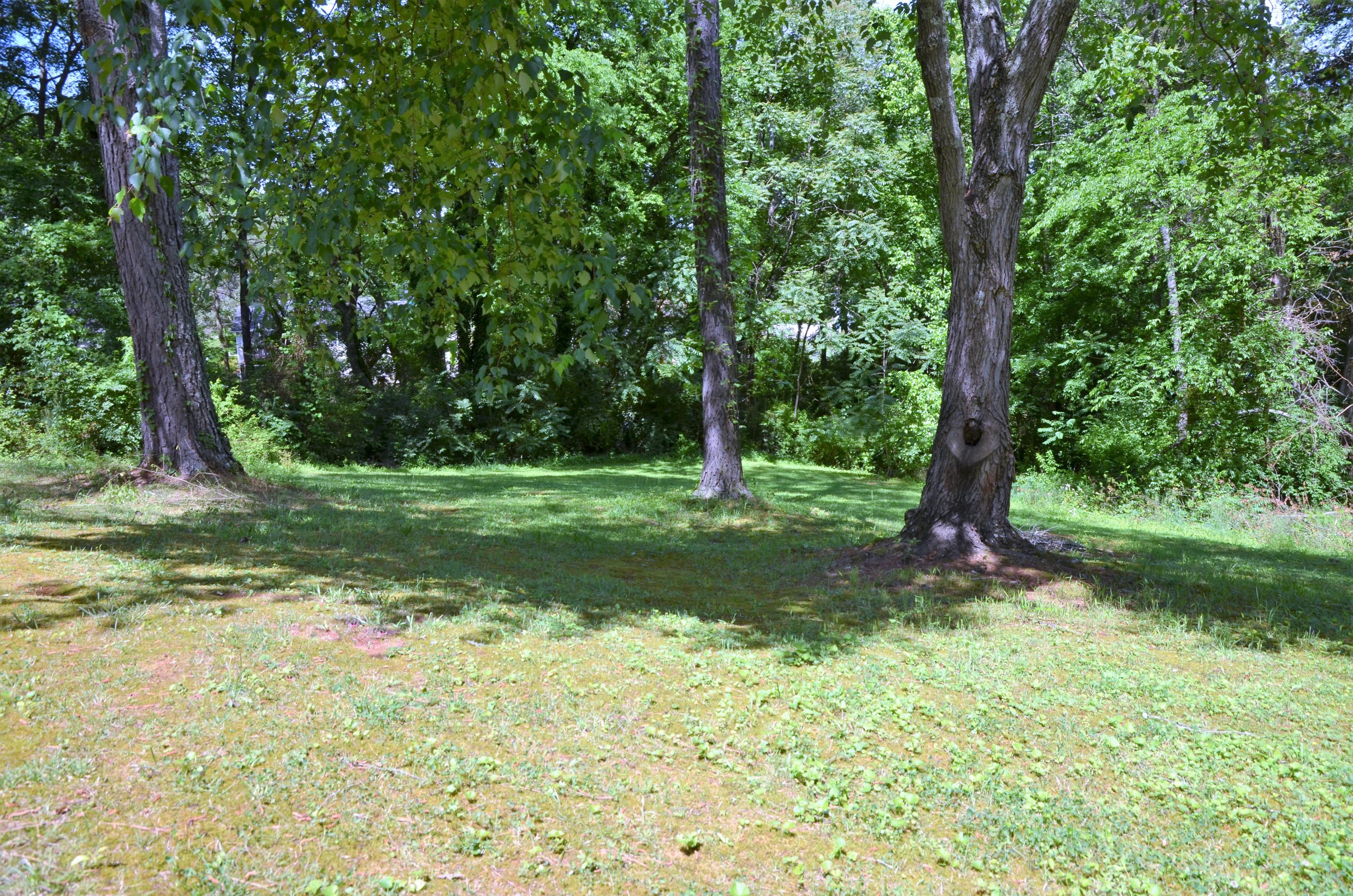 923 Parrish Road Knoxville, TN 37923 - Photo 23 of 30 Backyard