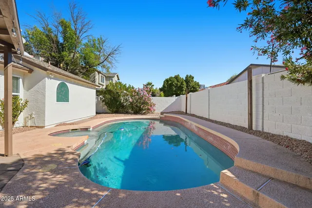 a view of a backyard with potted plants