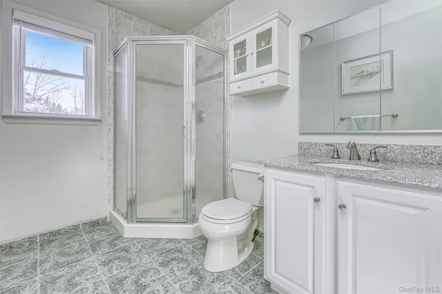 a bathroom with a granite countertop sink a toilet and a shower