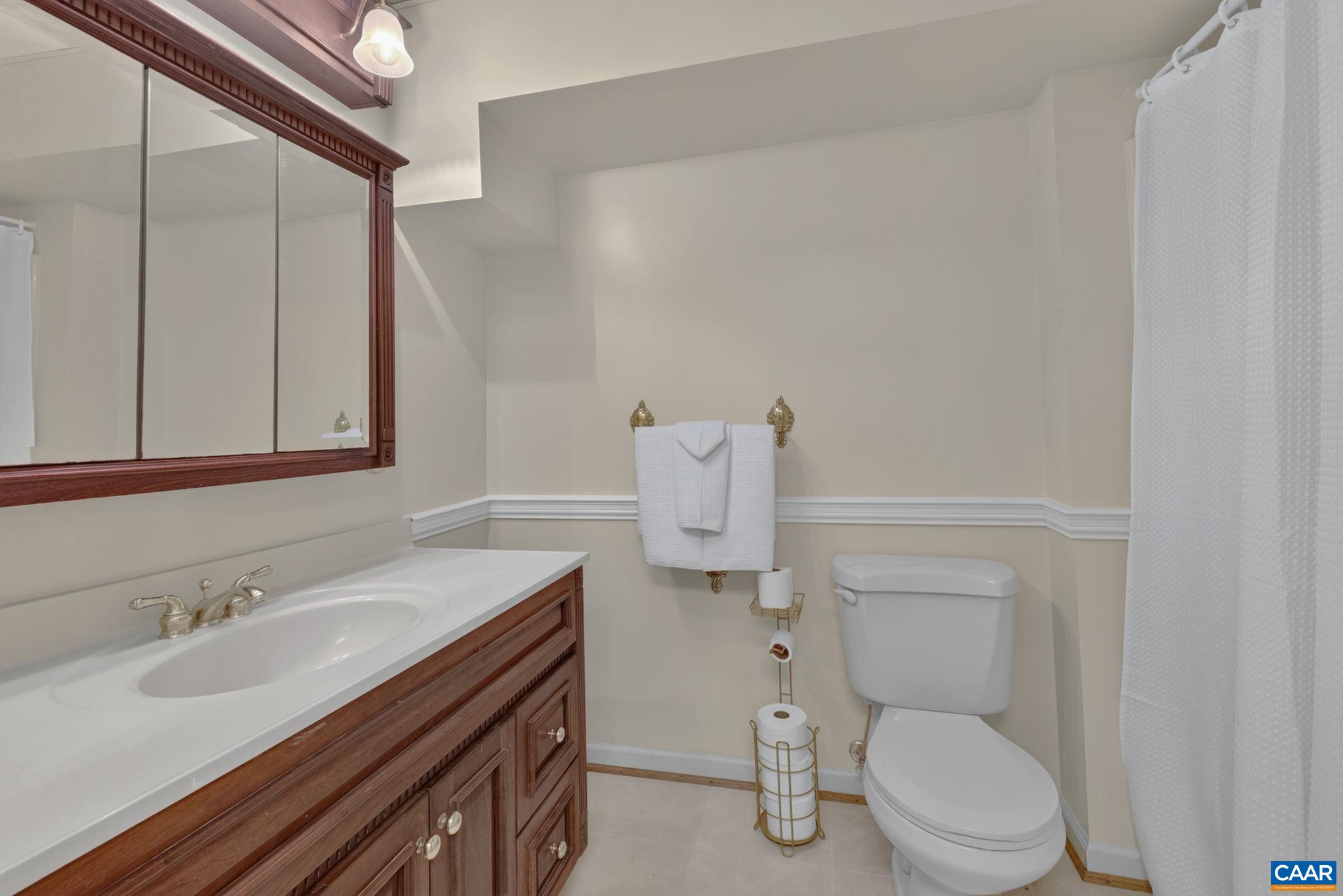 5363 Stony Point Road Barboursville, VA 22923 - Photo 39 of 66 Full Bath (Basement)