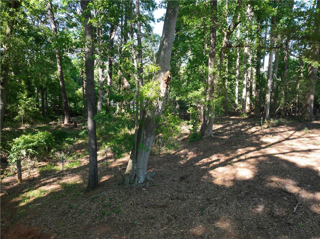 2199 Denver Road Anderson, SC 29625 - Photo 11 of 27
