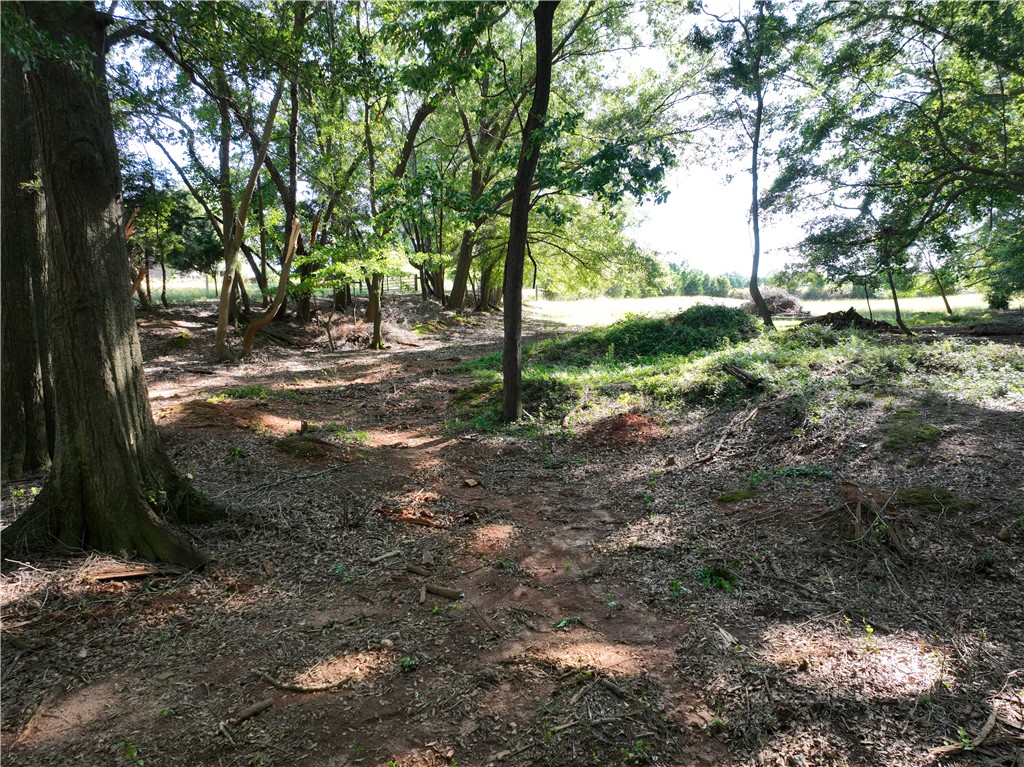 2199 Denver Road Anderson, SC 29625 - Photo 13 of 27
