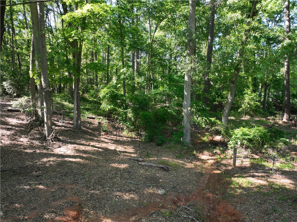 2199 Denver Road Anderson, SC 29625 - Photo 10 of 27