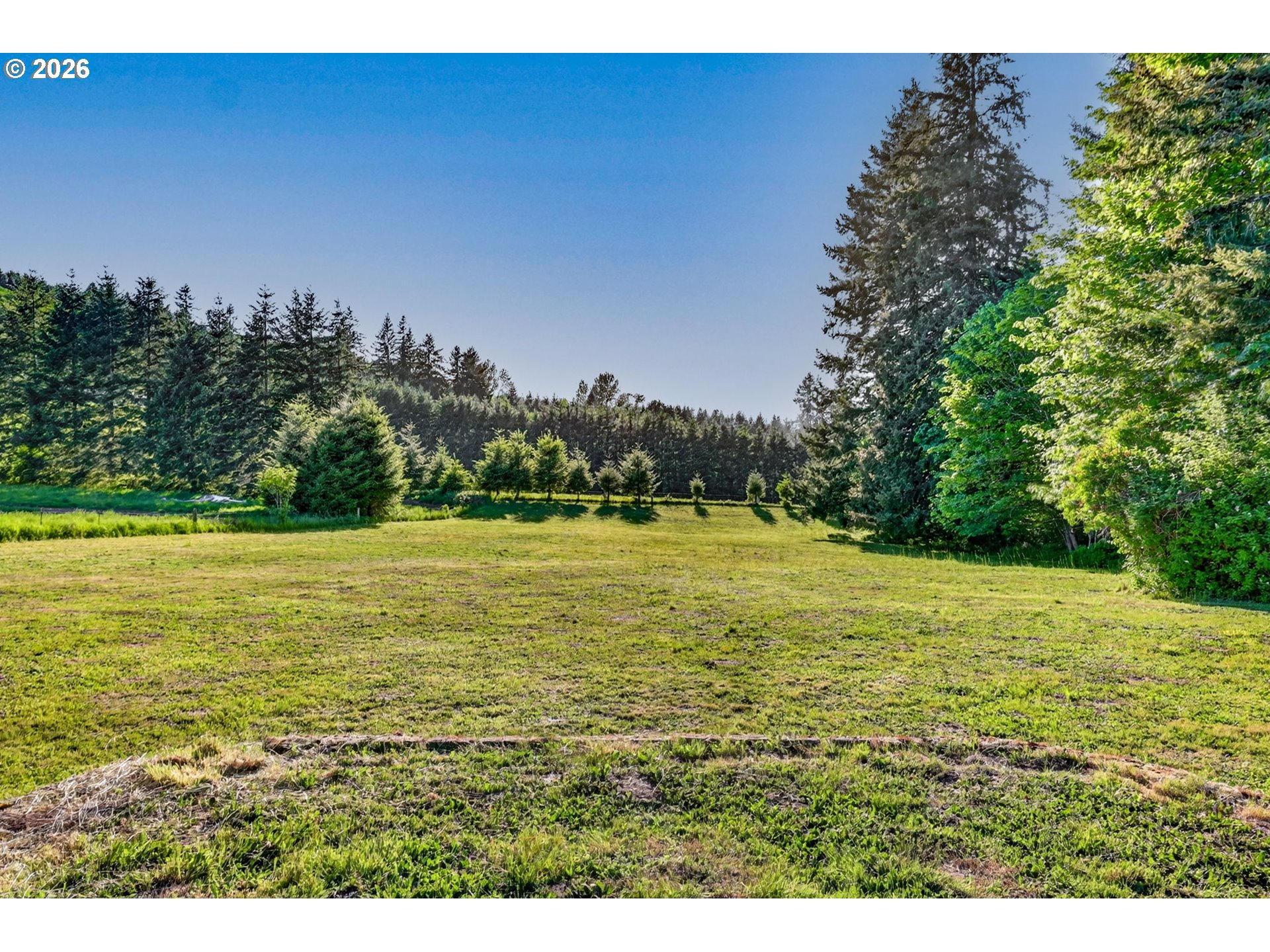 23100 Northeast St Helens View Road Yacolt, WA 98675 - Photo 9 of 48 Pasture