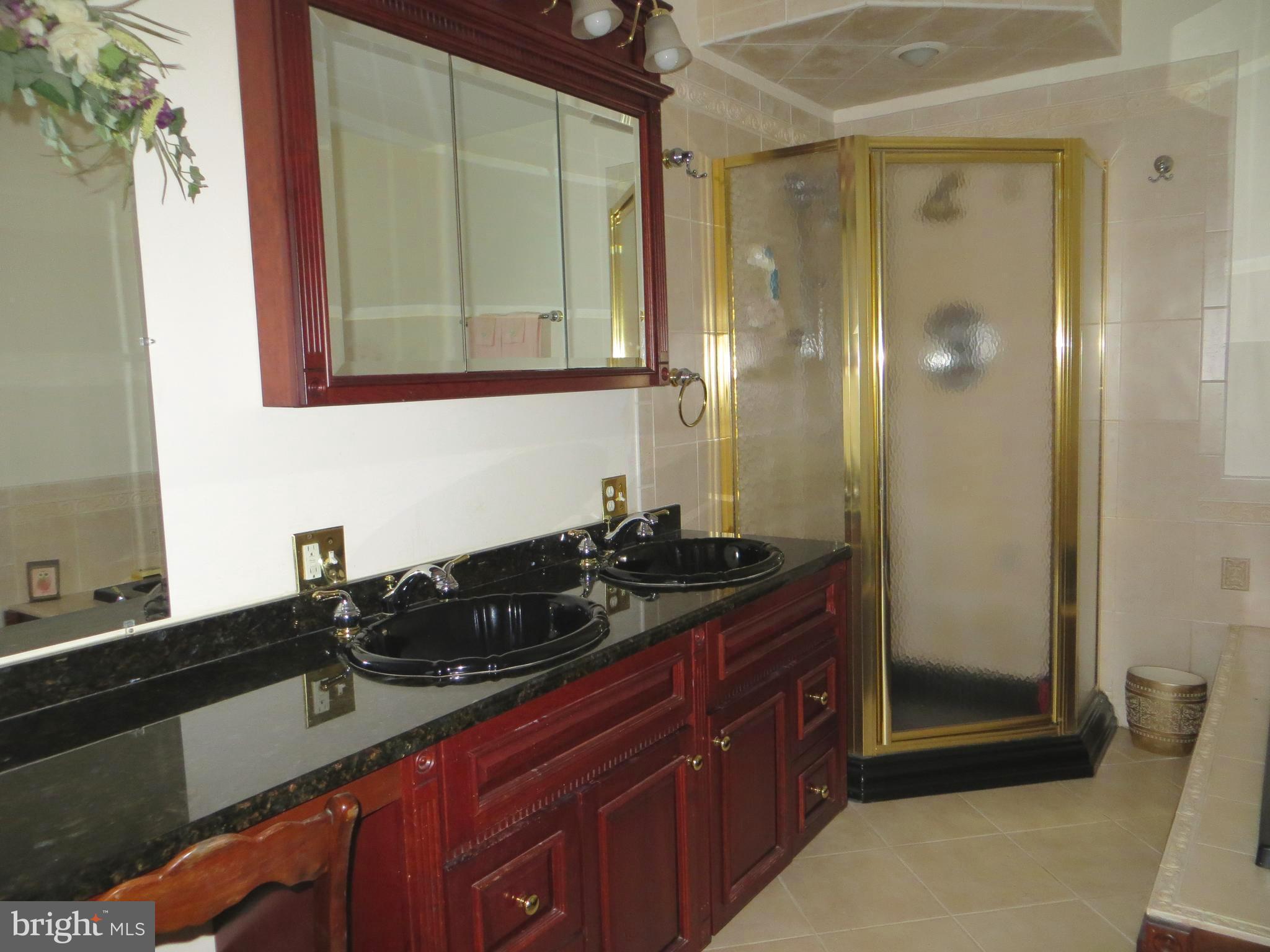1383 Elk Forest Road Elkton, MD 21921 - Photo 16 of 30 DOUBLE BOWL VANITY AND SHOWER