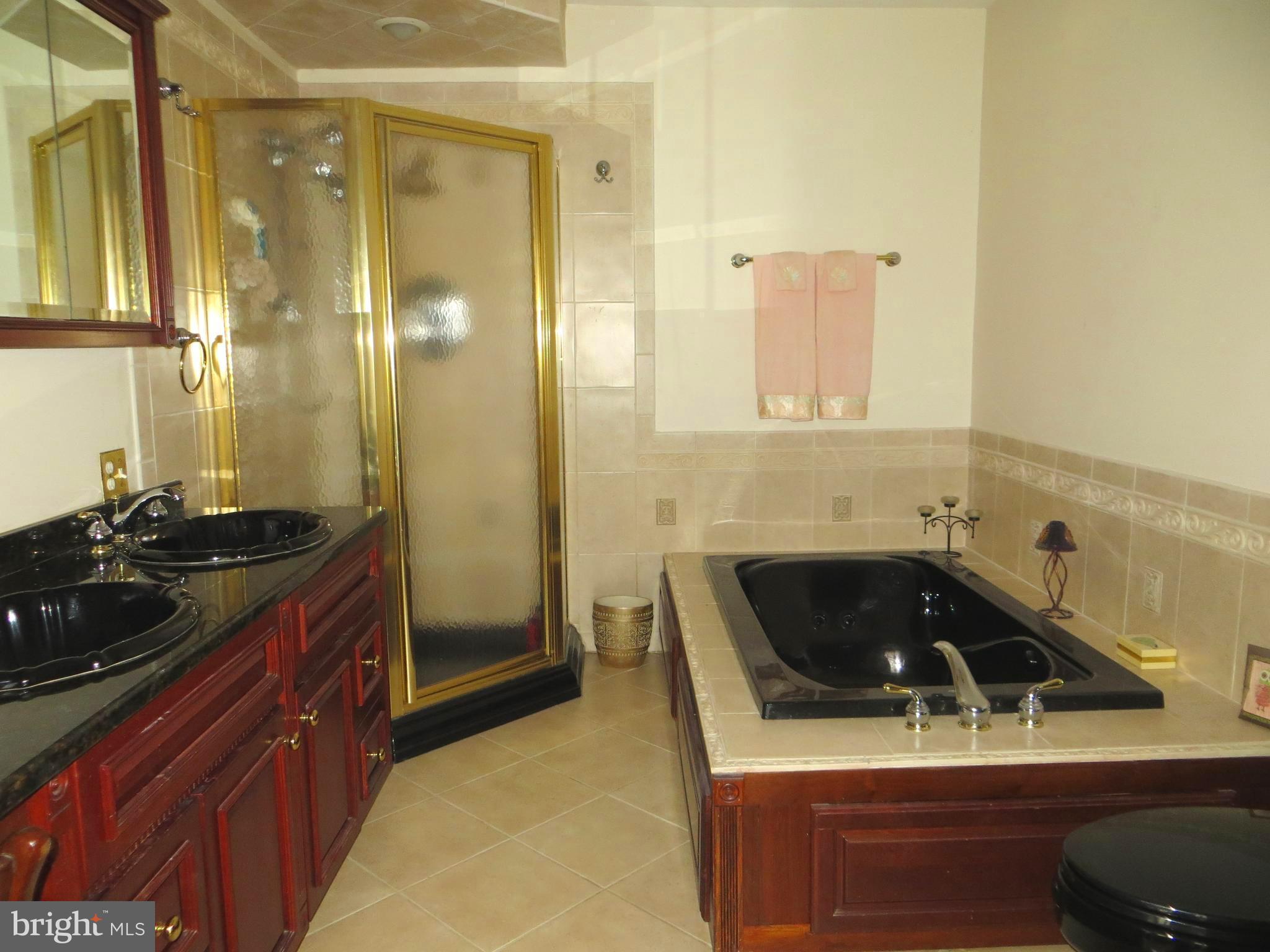 1383 Elk Forest Road Elkton, MD 21921 - Photo 17 of 30 MASTER BATH HAS WHIRLPOOL TUB