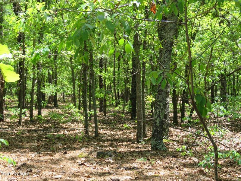 Off McLeod Road Laurinburg, NC 28352 - Photo 19 of 22 IMG_0901