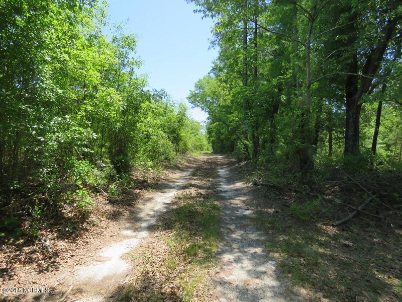 Off McLeod Road Laurinburg, NC 28352 - Photo 3 of 22 IMG_0884