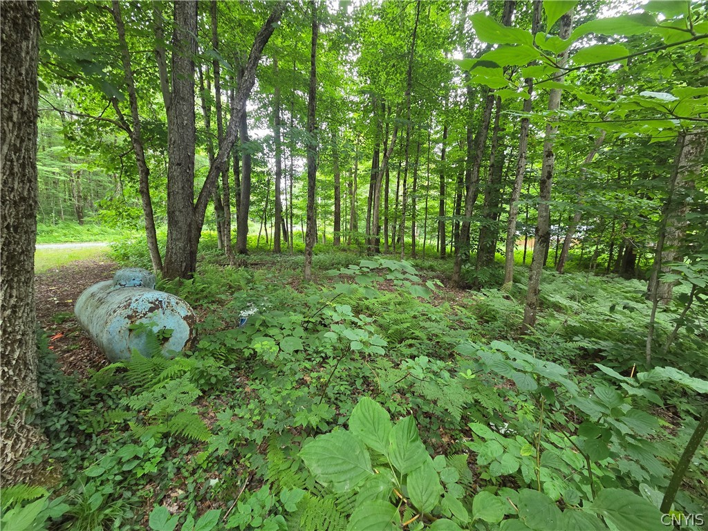 3147 Potter Road Osceola, NY 13437 - Photo 46 of 48