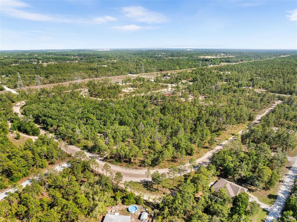 25723 Bareva Road Weeki Wachee, FL 34614 - Photo 2 of 55 a view of a city with lush green forest