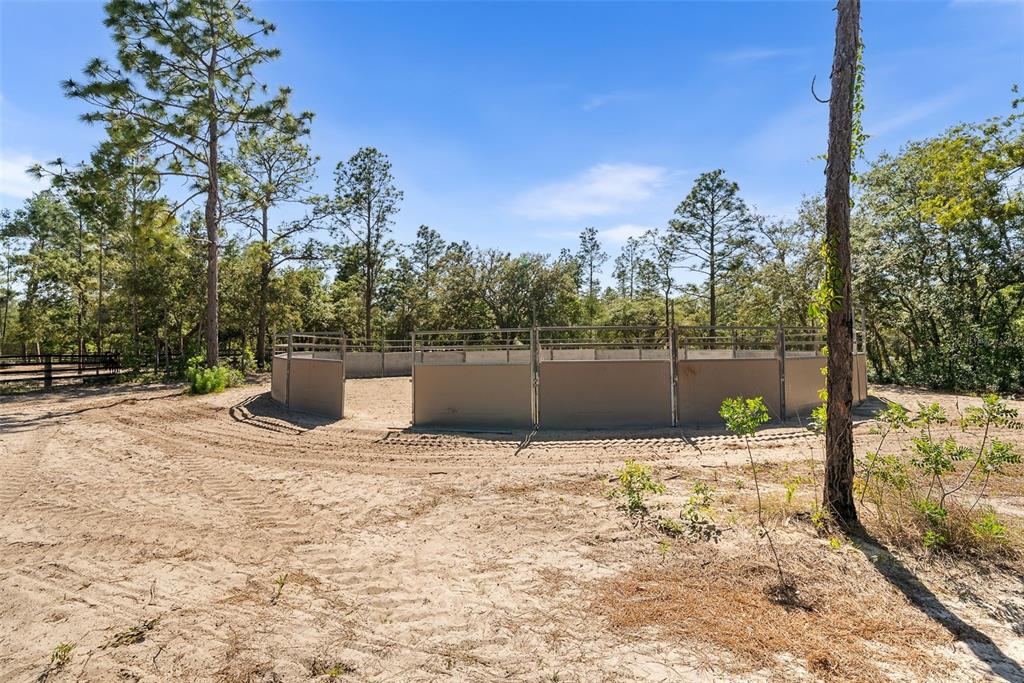 25723 Bareva Road Weeki Wachee, FL 34614 - Photo 21 of 55 a view of a house with a yard