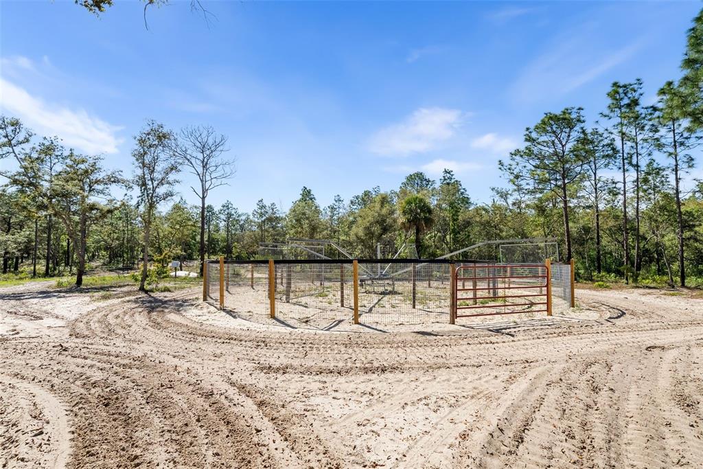 25723 Bareva Road Weeki Wachee, FL 34614 - Photo 22 of 55 a view of a backyard with large trees