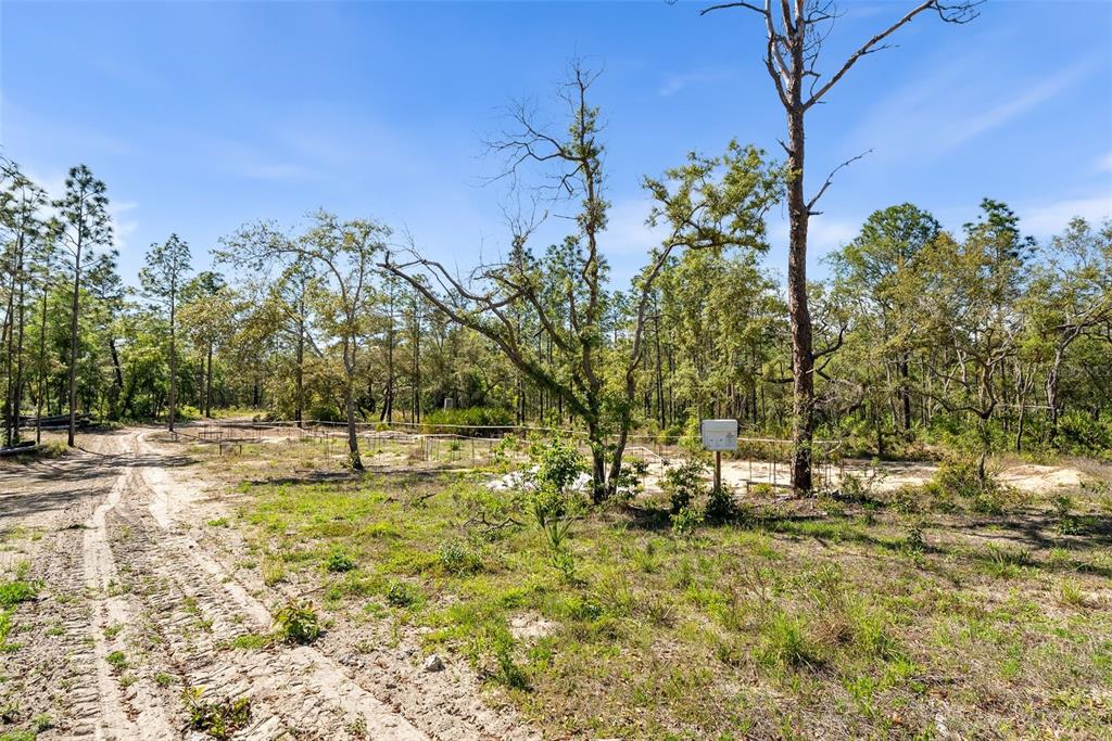 25723 Bareva Road Weeki Wachee, FL 34614 - Photo 23 of 55 a backyard of a house with lots of green space