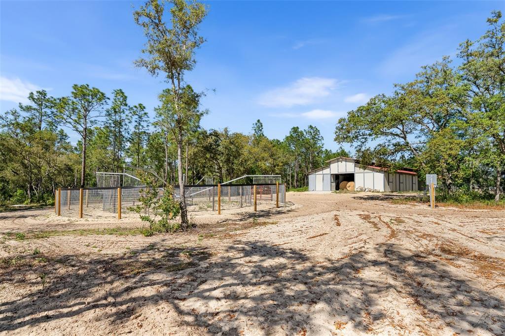 25723 Bareva Road Weeki Wachee, FL 34614 - Photo 24 of 55 a backyard of a house with table and chairs