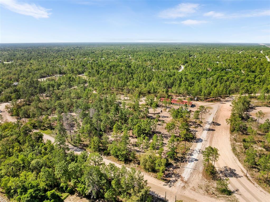 25723 Bareva Road Weeki Wachee, FL 34614 - Photo 48 of 55 a view of a city with an outdoor space