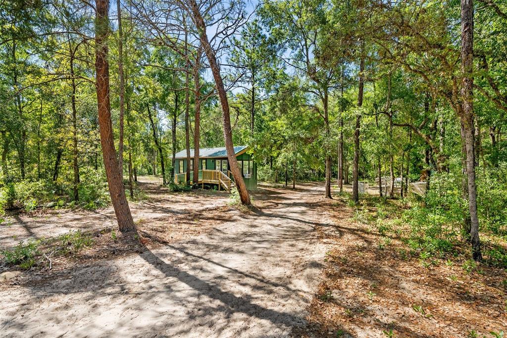 25723 Bareva Road Weeki Wachee, FL 34614 - Photo 51 of 55 a view of outdoor space with trees