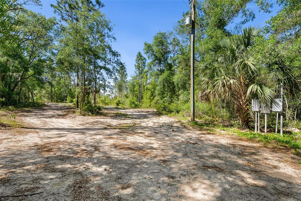 25723 Bareva Road Weeki Wachee, FL 34614 - Photo 52 of 55