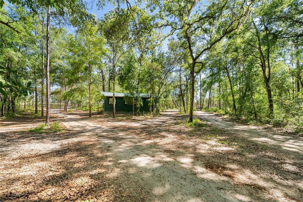 25723 Bareva Road Weeki Wachee, FL 34614 - Photo 54 of 55 a backyard of a house with lots of green space