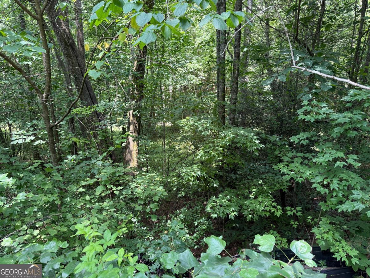 Lot E9 Reece Mountain Road Ellijay, GA 30536 - Photo 7 of 18