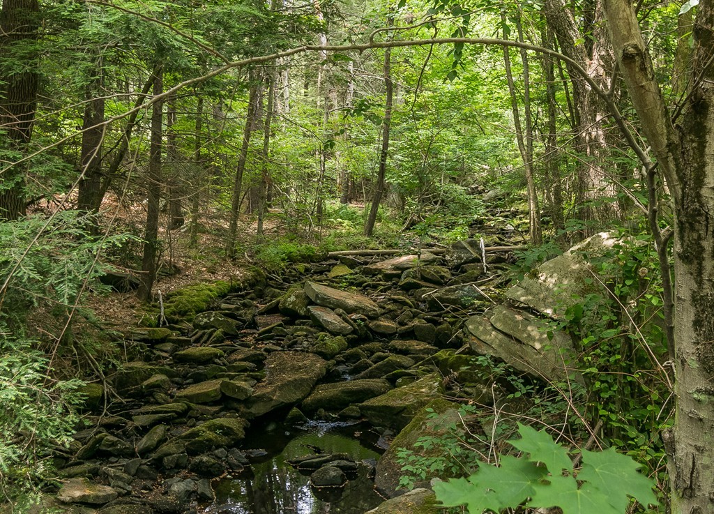 205 Glendale Road Hampden, MA 01036 - Photo 11 of 30