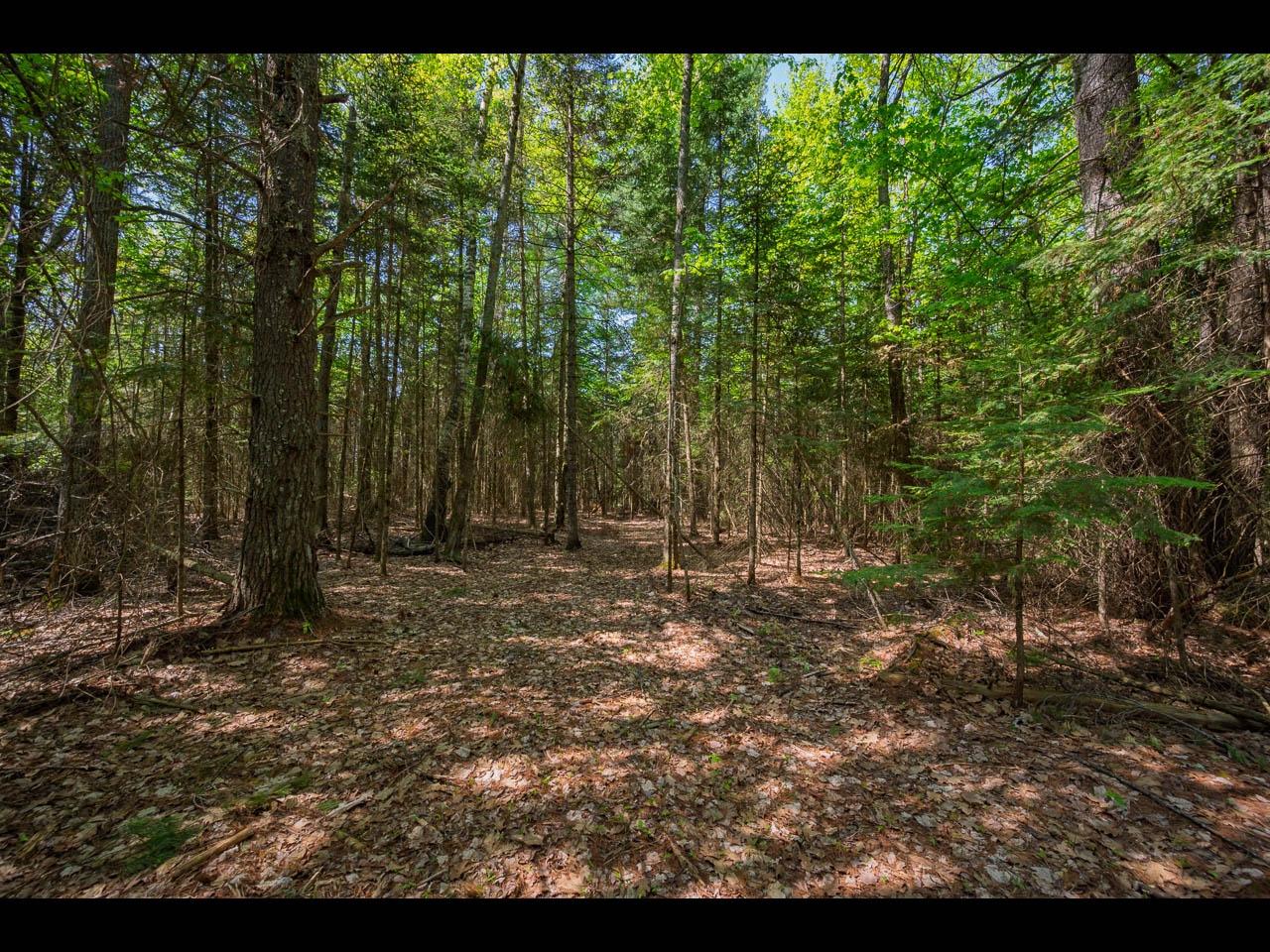 Lot 2 Memory Lane Eagle River, WI 54521 - Photo 7 of 10