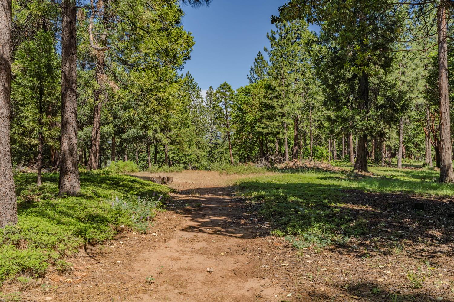 0 Schaefer Ranch Road Pioneer, CA 95666 - Photo 28 of 72