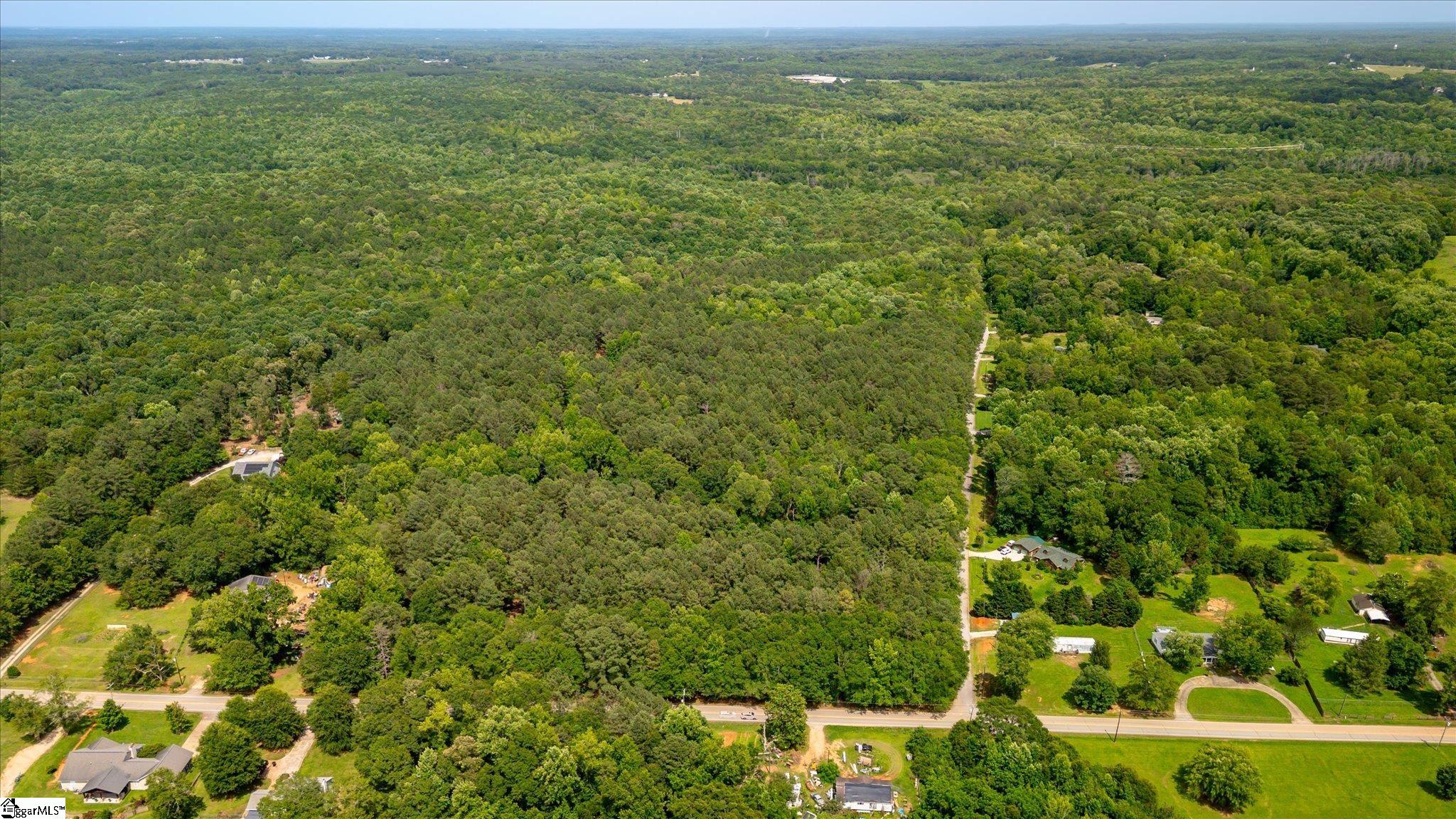 0 Watt Rogers Road, Unit TRACT 3 Pelzer, SC 29669 - Photo 12 of 18