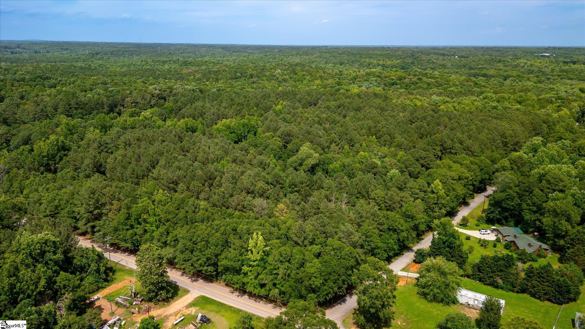 0 Watt Rogers Road, Unit TRACT 3 Pelzer, SC 29669 - Photo 3 of 18