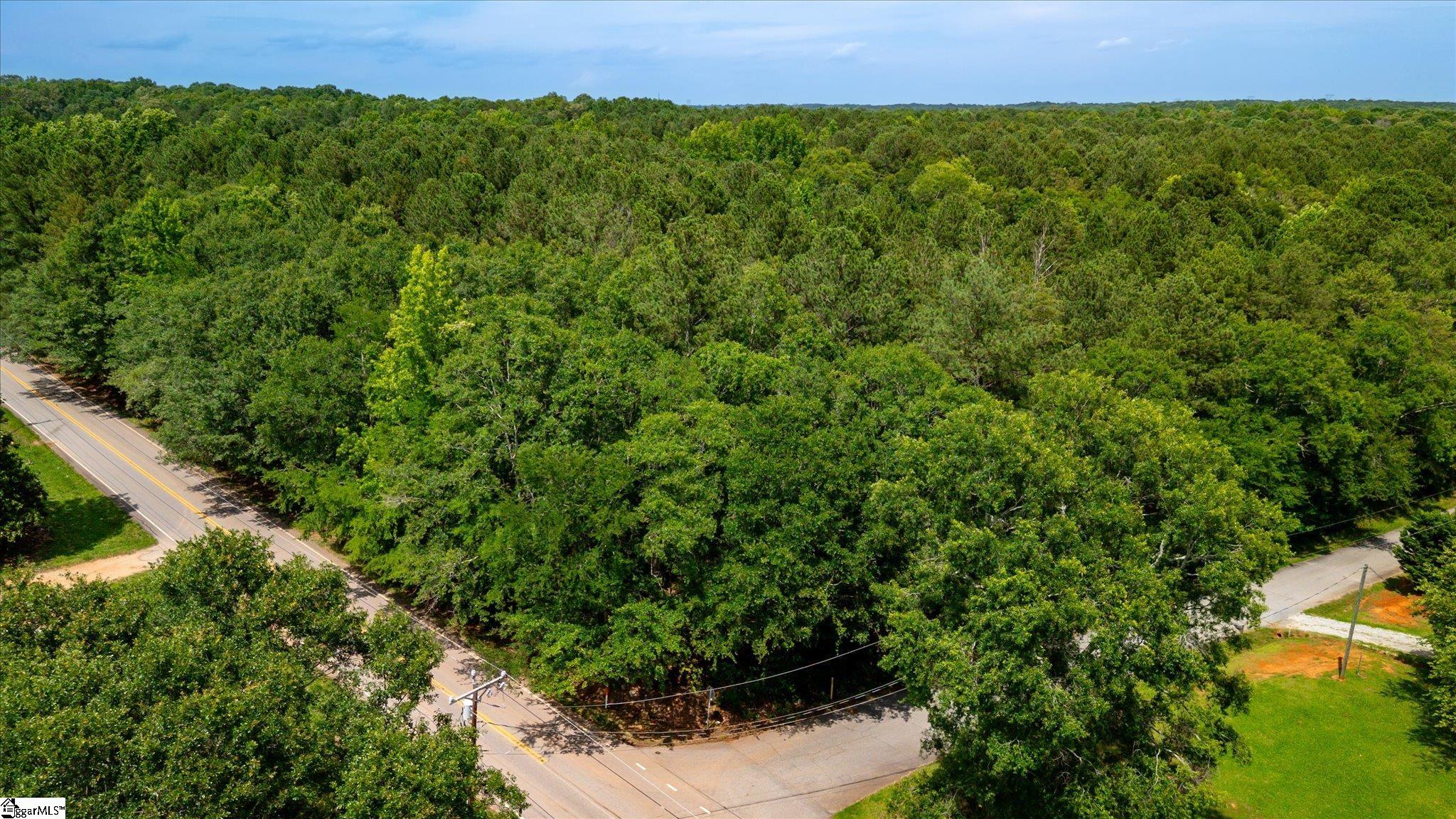 0 Watt Rogers Road, Unit TRACT 3 Pelzer, SC 29669 - Photo 4 of 18