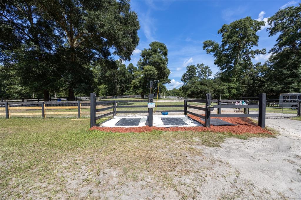 9106 Southwest 124 Street Archer, FL 32618 - Photo 17 of 57 a view of a yard with swimming pool