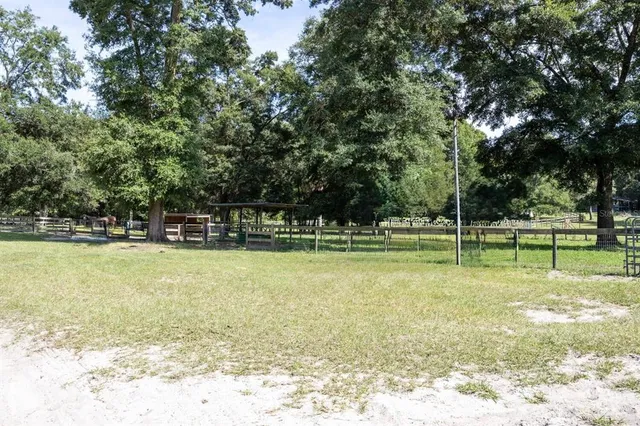a view of a swimming pool with a yard and trees