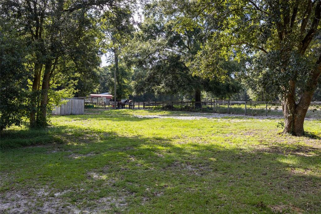 9106 Southwest 124 Street Archer, FL 32618 - Photo 27 of 57 a view of a swimming pool and trees in the background