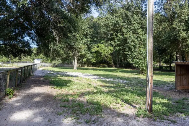 a view of a yard with a tree