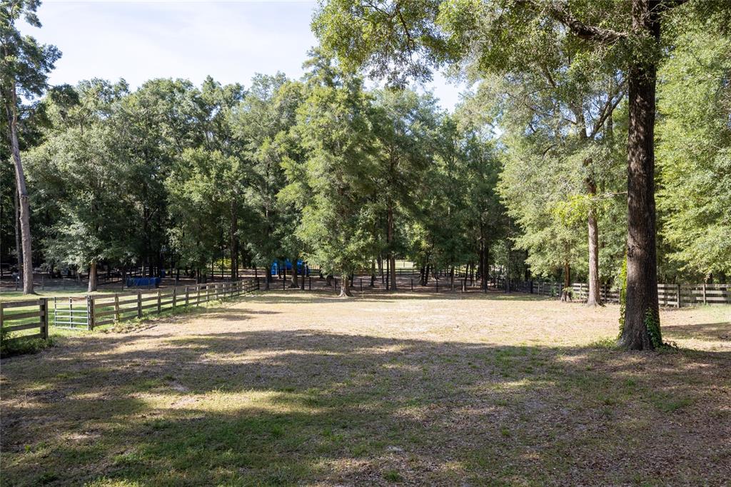 9106 Southwest 124 Street Archer, FL 32618 - Photo 30 of 57 a view of road with trees