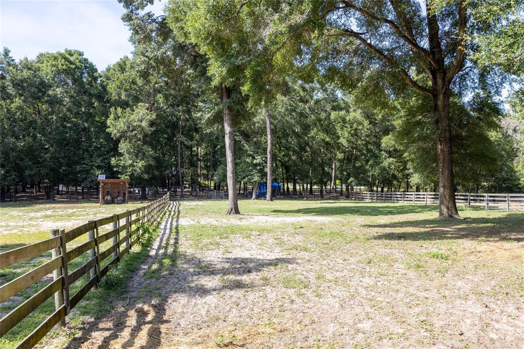9106 Southwest 124 Street Archer, FL 32618 - Photo 33 of 57 a view of a yard with swimming pool